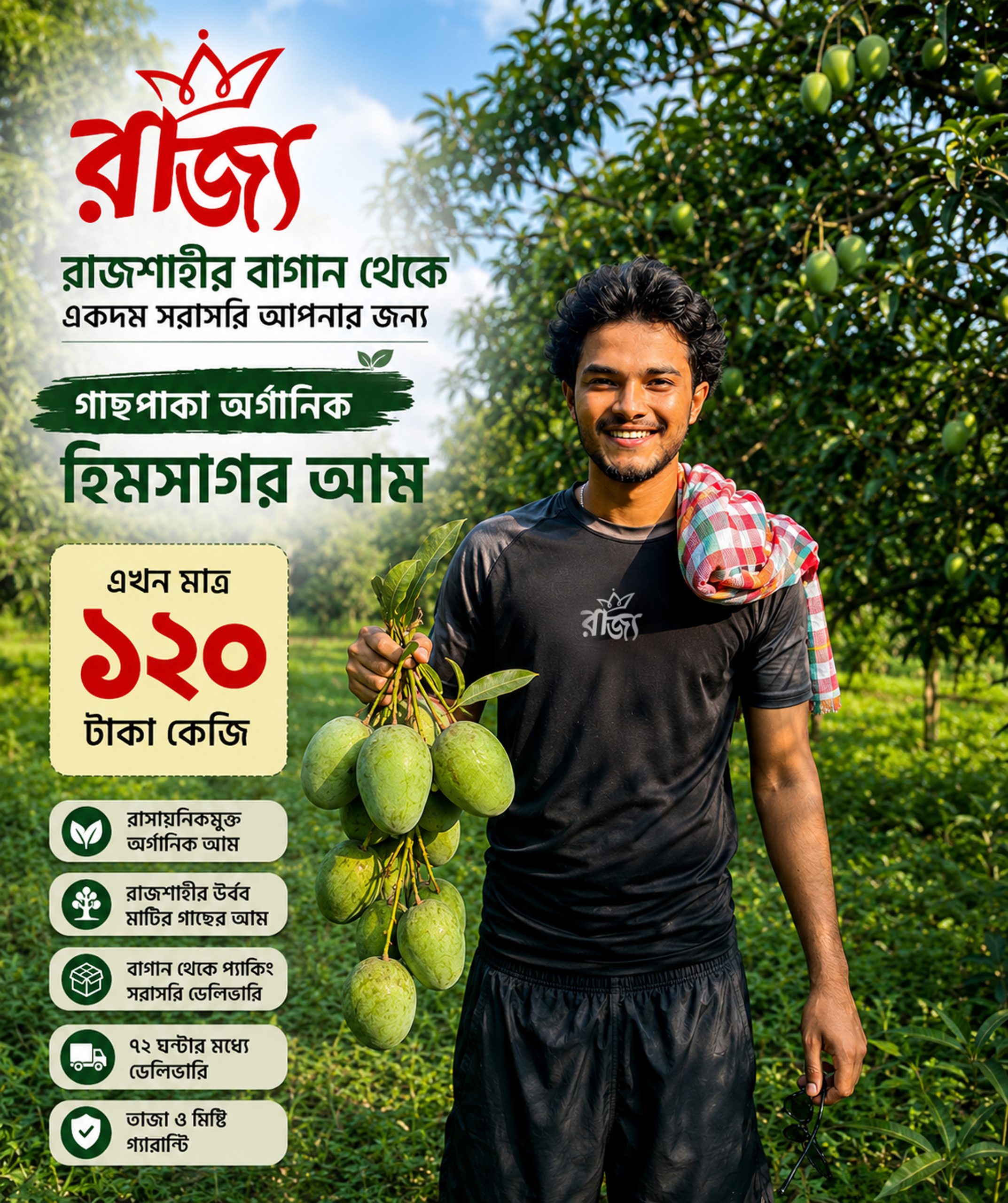 রাজশাহীর গাছপাকা হিমসাগর আম – রাজ্য - Image 2